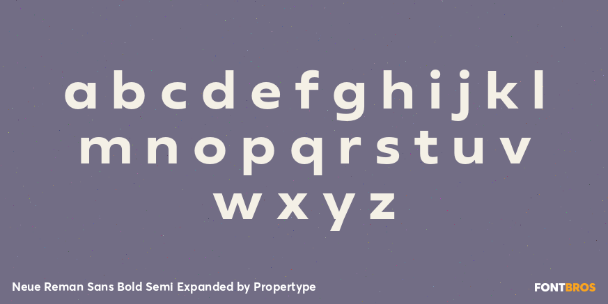 Neue Reman Sans Bold Semi Expanded Font Poster #3