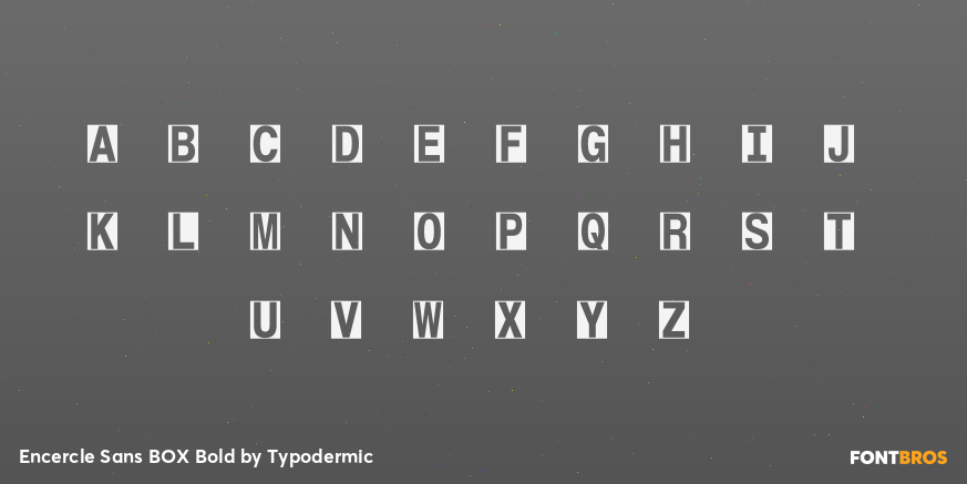 Encercle Sans BOX Bold Font Poster #2