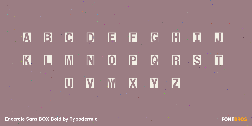 Encercle Sans BOX Bold Font Poster #1
