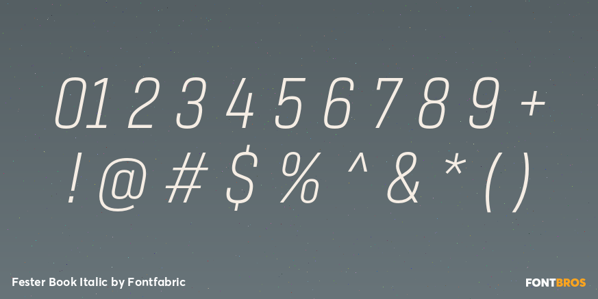 Fester Book Italic Font Poster #4