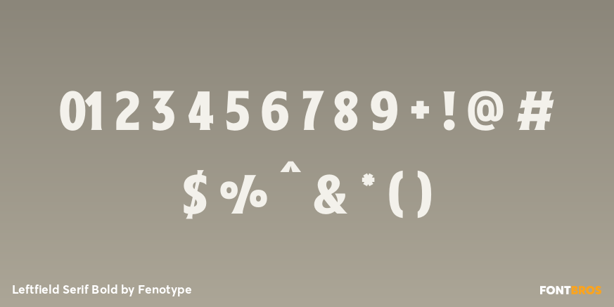 Leftfield Serif Bold Font Poster #1