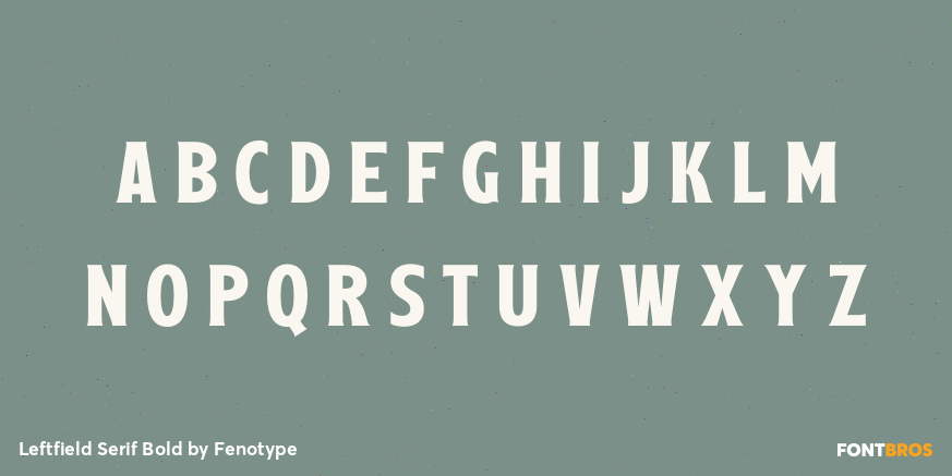 Leftfield Serif Bold Font Poster #2