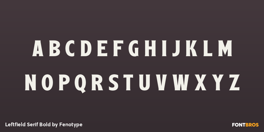 Leftfield Serif Bold Font Poster #3