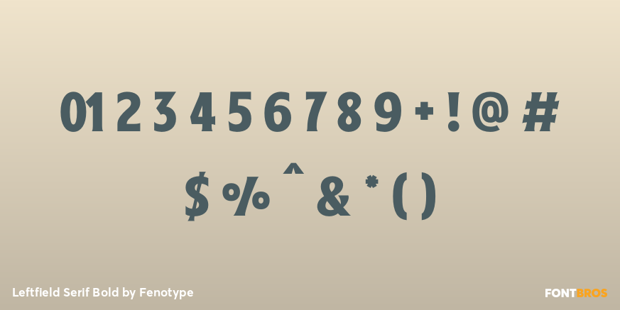 Leftfield Serif Bold Font Poster #4