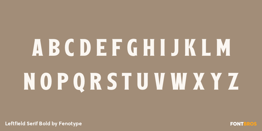 Leftfield Serif Bold Font Poster #1
