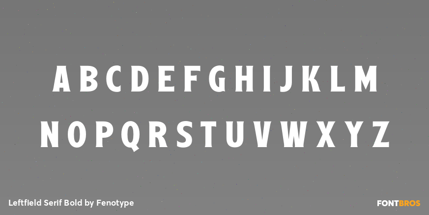 Leftfield Serif Bold Font Poster #1