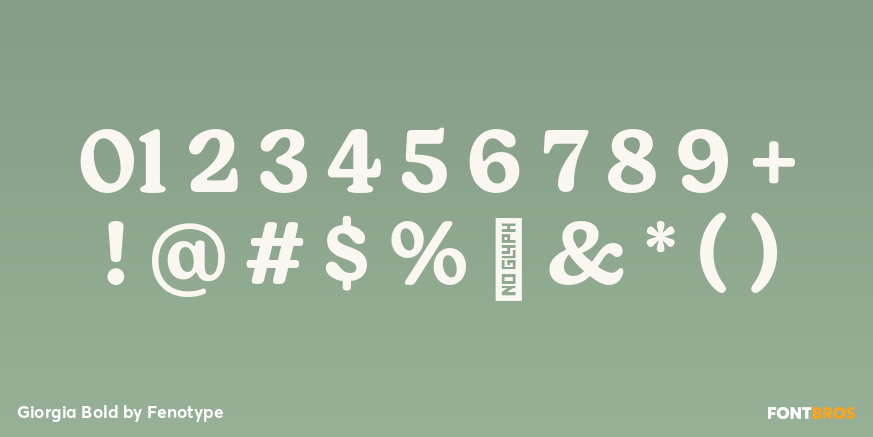 Giorgia Bold Font Poster #4
