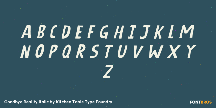 Goodbye Reality Italic Font Poster #2