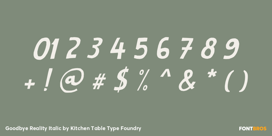 Goodbye Reality Italic Font Poster #4