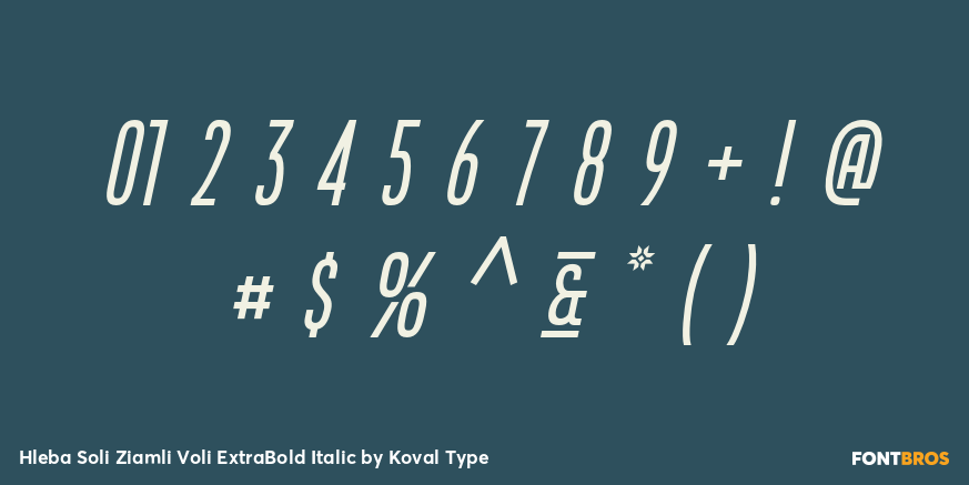 Hleba Soli Ziamli Voli ExtraBold Italic Font Poster #4