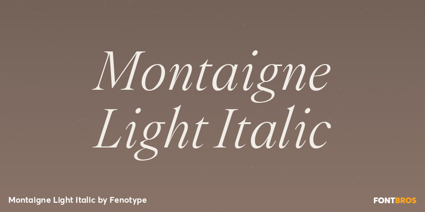 Montaigne Light Italic Font Poster #1