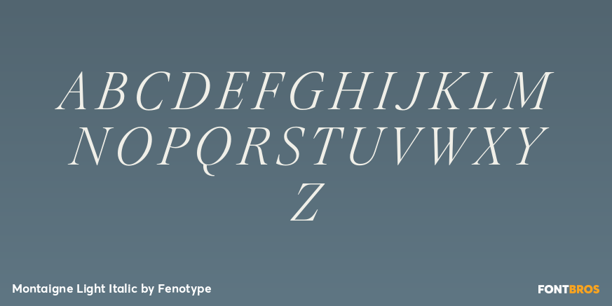 Montaigne Light Italic Font Poster #2