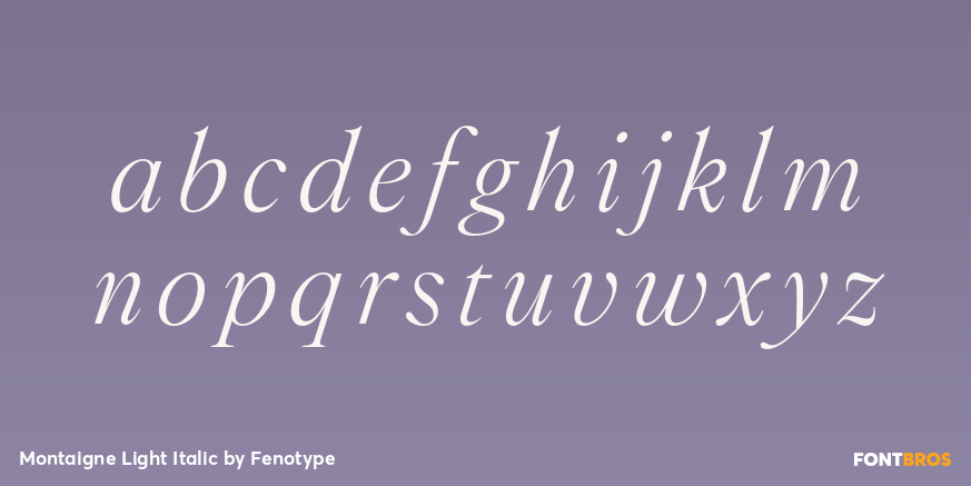 Montaigne Light Italic Font Poster #3