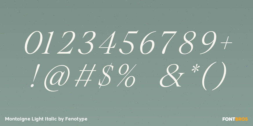 Montaigne Light Italic Font Poster #4