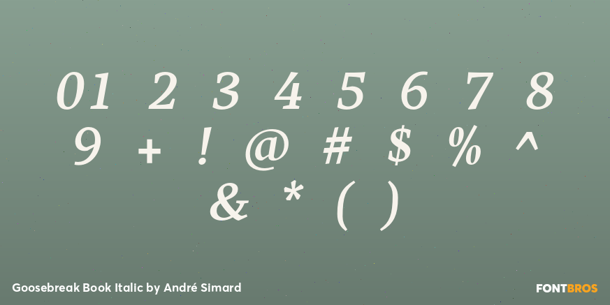 Goosebreak Book Italic Font Poster #4