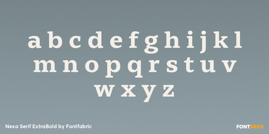 Nexa Serif ExtraBold Font Poster #3