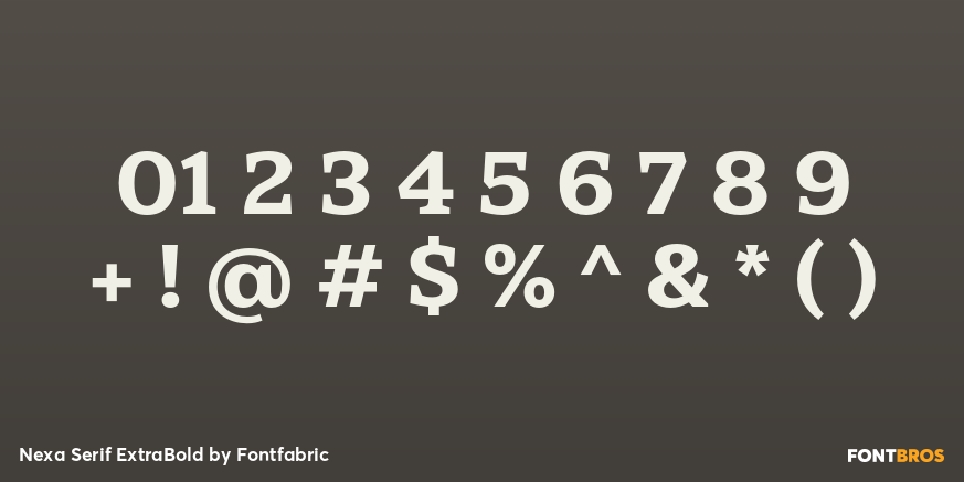 Nexa Serif ExtraBold Font Poster #4