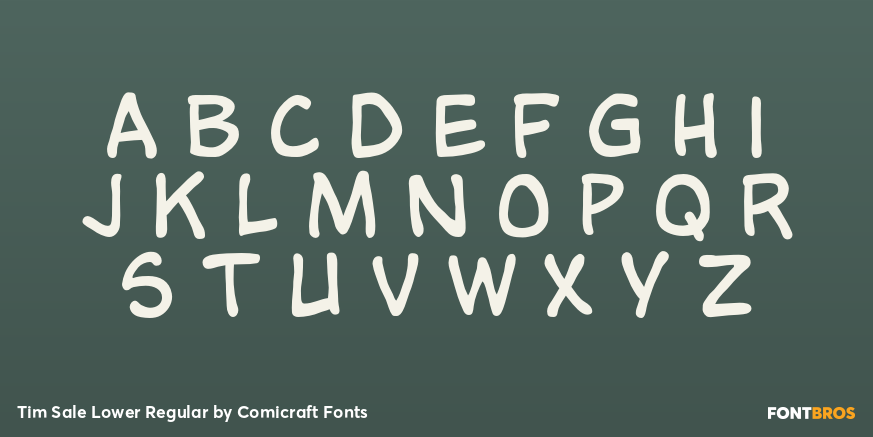 Tim Sale Lower Regular Font Poster #2