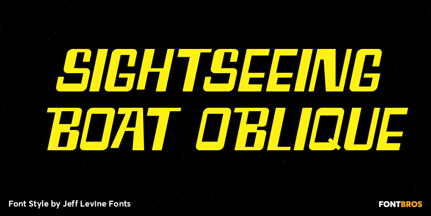 Sightseeing Boat Oblique Poster