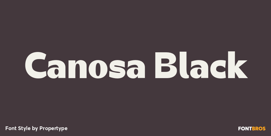 Canosa Black Poster