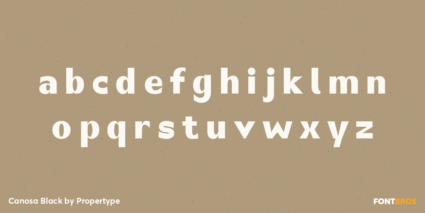 Canosa Black Font Poster #3