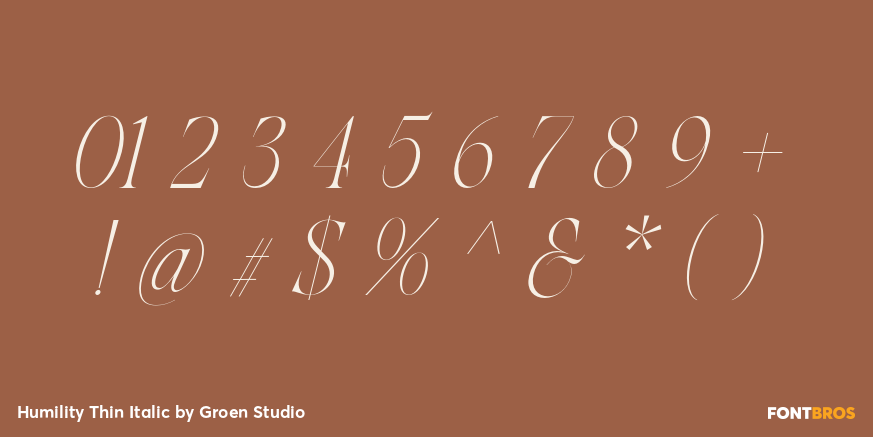 Humility Thin Italic Font Poster #4