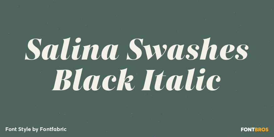Salina Swashes Black Italic Poster