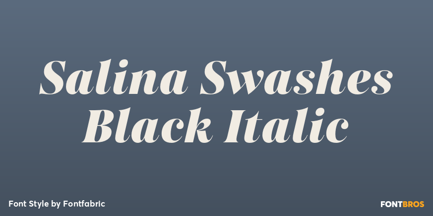 Salina Swashes Black Italic Poster