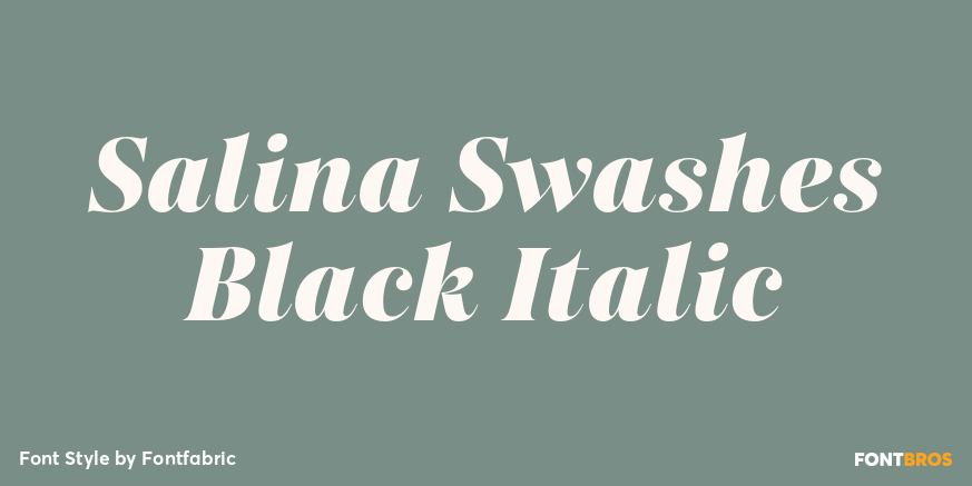Salina Swashes Black Italic Poster