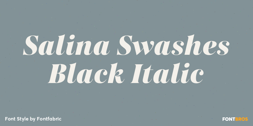 Salina Swashes Black Italic Poster