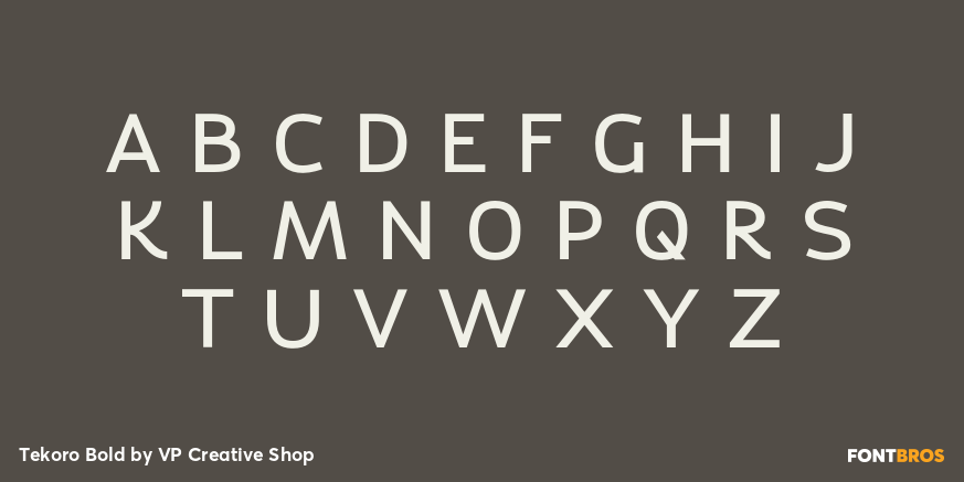 Tekoro Bold Font Poster #2