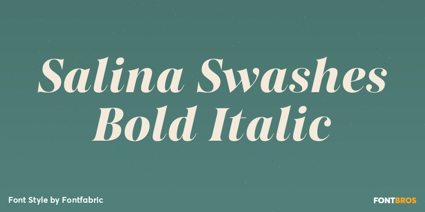 Salina Swashes Bold Italic Poster