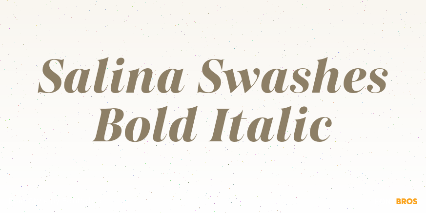 Salina Swashes Bold Italic Poster