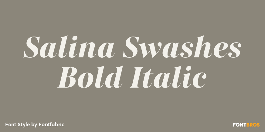 Salina Swashes Bold Italic Poster