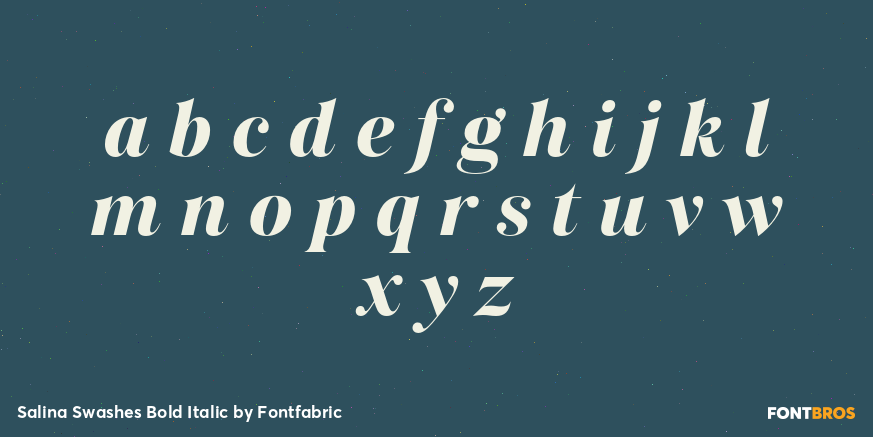 Salina Swashes Bold Italic Font Poster #3