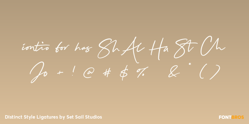 Distinct Style Ligatures Font Poster #1