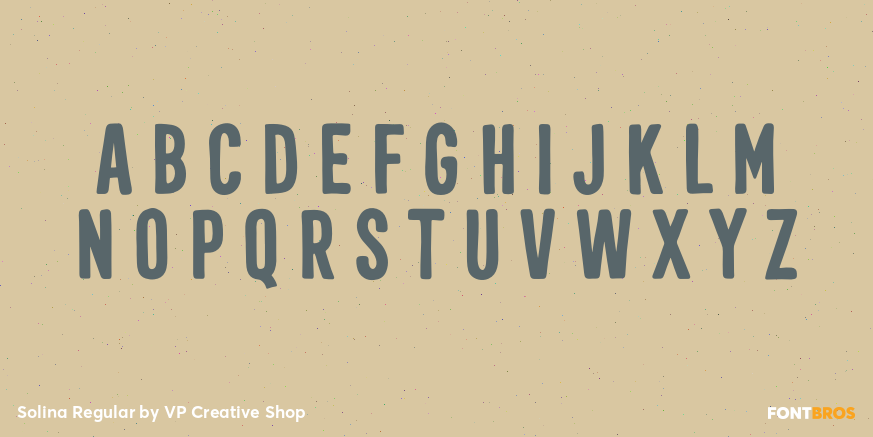 Solina Regular Font Poster #2