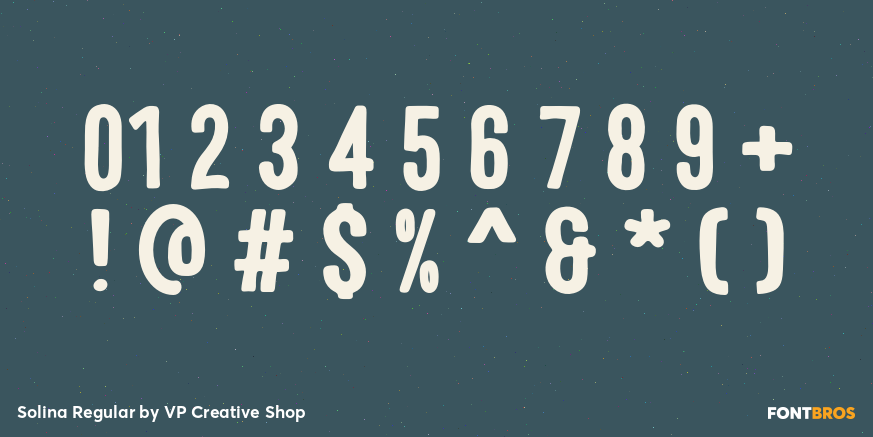 Solina Regular Font Poster #4