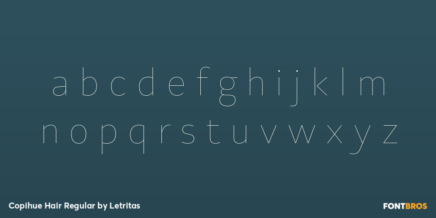 Copihue Hair Regular Font Poster #3