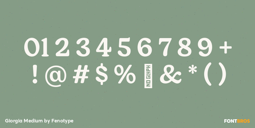 Giorgia Medium Font Poster #4