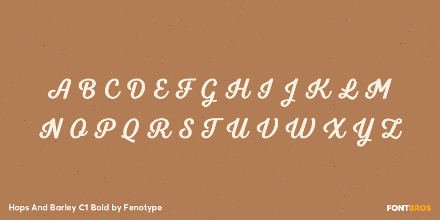 Hops And Barley C1 Bold Font Poster #1