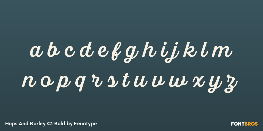 Hops And Barley C1 Bold Font Poster #1