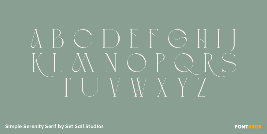 Simple Serenity Serif Font Poster #2