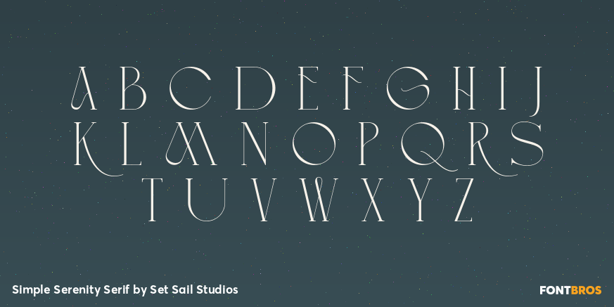 Simple Serenity Serif Font Poster #3