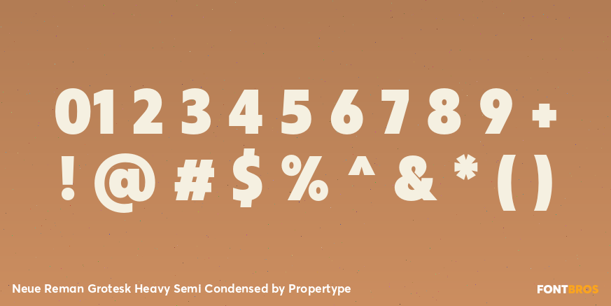 Neue Reman Grotesk Heavy Semi Condensed Font Poster #4