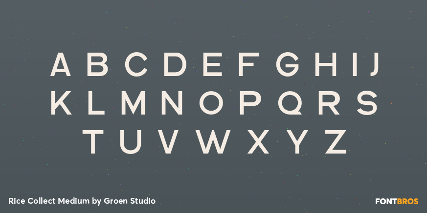 Rice Collect Medium Font Poster #2