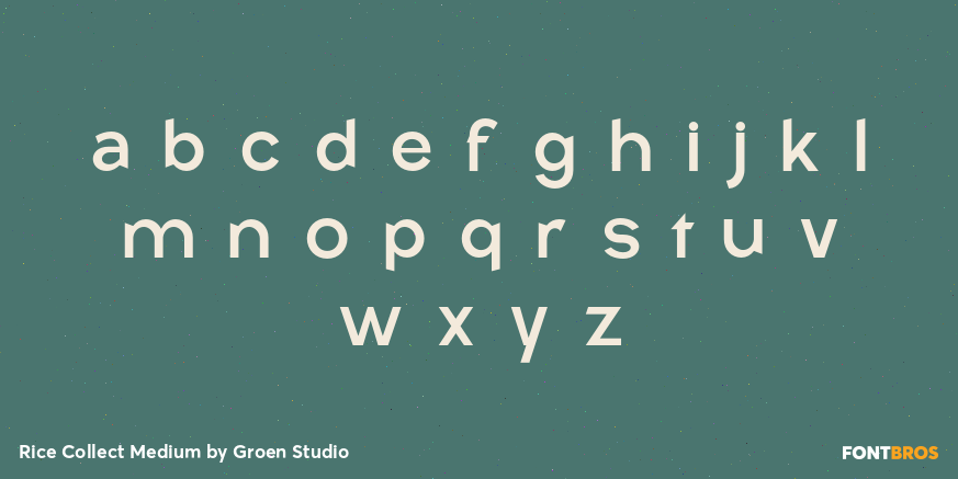 Rice Collect Medium Font Poster #3