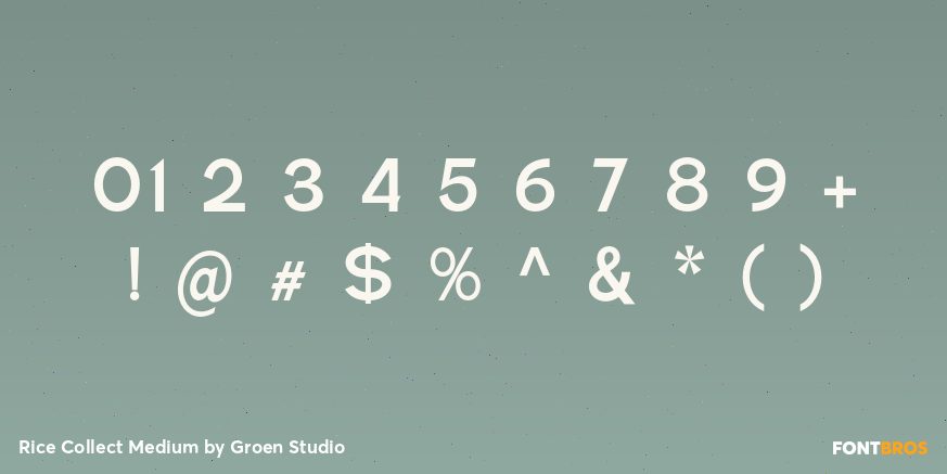 Rice Collect Medium Font Poster #4