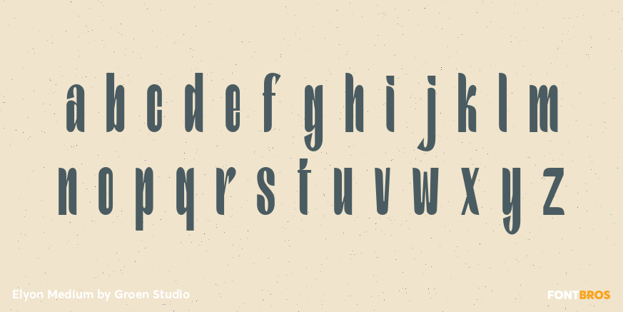 Elyon Medium Font Poster #3