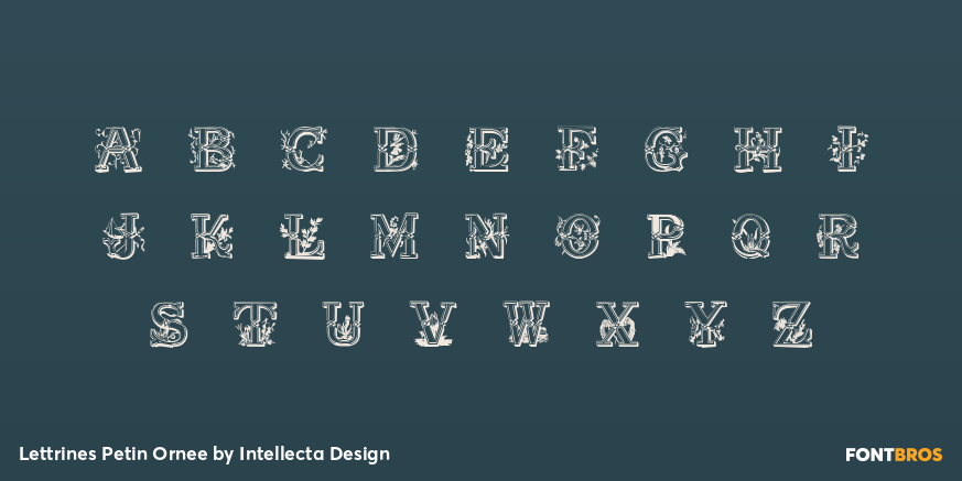 Lettrines Petin Ornee Font Poster #3